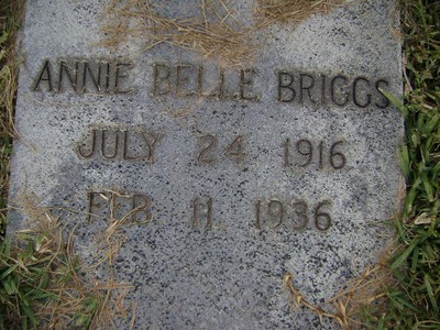 Briggs, Annie Belle, Rose Hil Cem, Bibb Co, GA.jpg
