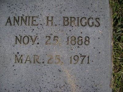 Briggs, Annie Herrin, Rose Hill Cem, Bibb Co, GA.jpg