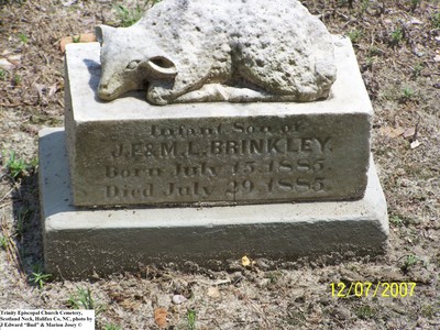 Brinkley, Infant Son,  Trinity Cem, Scotland Neck, Halifax Co, NC.jpg