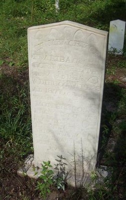 Carver, Feariba Tillis, Carver Cem, Suwannee Co, FL.jpg