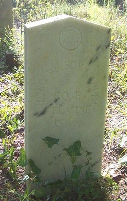 Carver, Henry Wilson, Carver Cem, Suwannee Co, FL.jpg