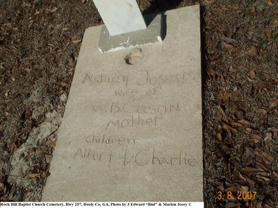 Cason, Frances Asbury Josey, Rock Hill Baptist Cem, Dooly Co, GA.jpg