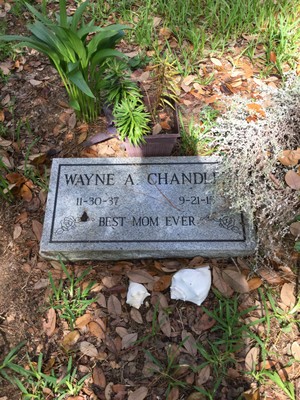 Chandler, Wayne Ayres, Berlin Cem, Georgetown Co, SC.jpg