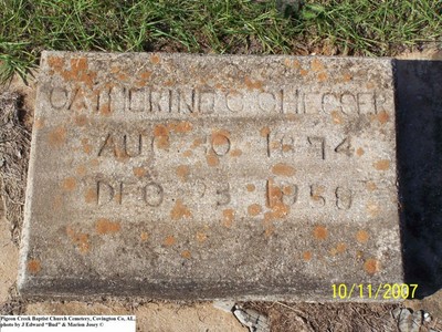 Chesser, Catherine C, Pigeon Creek Baptist Cem, Covington Co, AL.jpg