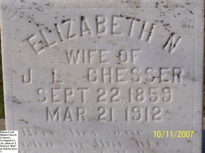 Chesser, Elizabeth N, Pigeon Creek Baptist Cem, Covington Co, AL.jpg