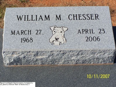 Chesser, William M, Pigeon Creek Baptist Cem, Covington Co, AL.jpg