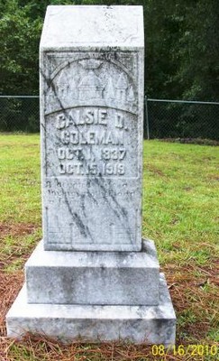 Coleman, Calsie D McBride, Colemans Chapel Cem, Emanuel Co, GA.jpg