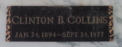 Collins, Clinton B, Palms Cem, Jeff Davis Co, GA.jpg