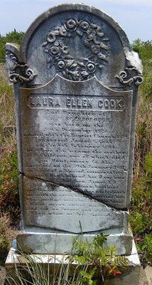Cook, Laura Ellen Scarborough, Henry Scarborough Cem, Lee Co, SC.jpg