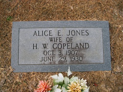 Copeland, Alice Elizabeth Jones, Bethel Cem, Sumter Co, SC.jpg