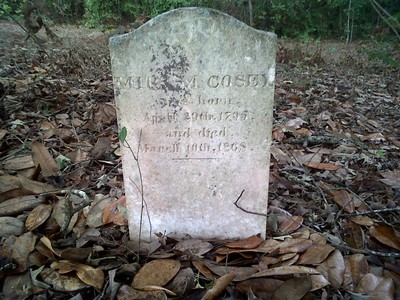 Cosey, Miram Mott, Mineral Springs Cem, Washington Co, GA.jpg