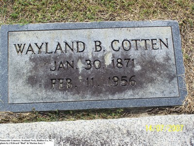Cotten, Wayland B, Sunnyside Cem, Halifax Co, NC.jpg