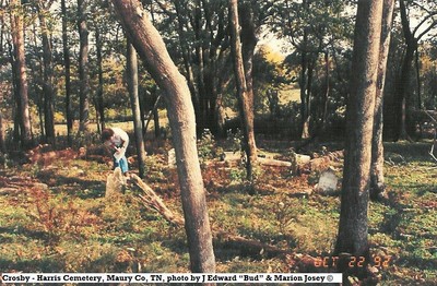 Crosby- Harris Cemetery2, Maury Co, TN.jpg