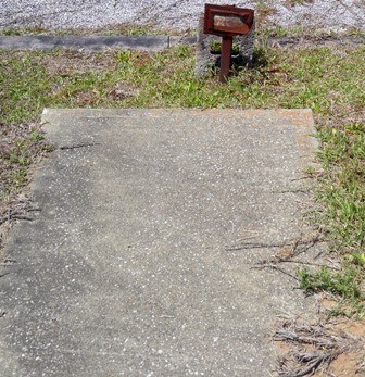 Dauphine, Julia Isadora Farnham, Mount Zion Cem, Covington Co, AL.jpg
