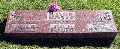 Davis, James W & Edith, Bethel Cem, Ozark Co, MO.jpg