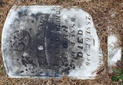 Dowling, Zachary Sewell, Wesley Chapel Cem, Darlington Co, SC.jpg