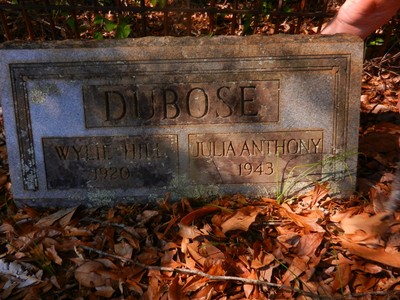 DuBose, Wylie Hill & Clara Julia Arnold, Resthaven Cem, Wilkes Co, GA.jpg