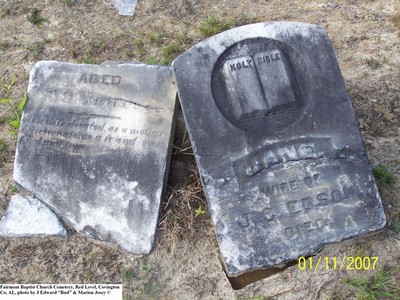 Edson, Jane Hitson, Fairmount Baptist Cem, Covington Co, AL.jpg