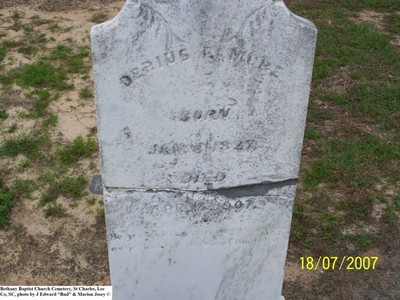 Elmore, Derius, Bethany Baptist Cem, Lee Co, SC.jpg