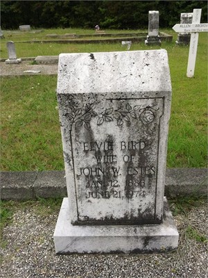 Estes, Lula Elvie Byrd, New Hope Cem, Meriwether Co, GA.jpg
