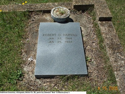 Harvill, Robert Douglas, Oakwood Cemetery, Butler Co, AL.JPG