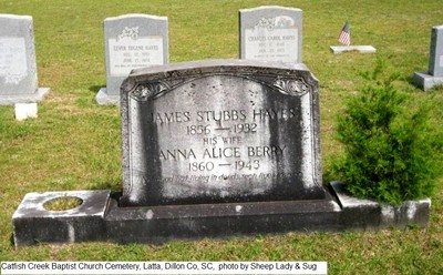 Hayes, James & Alice Berry, Catfish Creek Baptist Cem, Dillom Co, SC.jpg