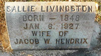 Hendrix, Sallie Livingston, Woodlawn Cem, Dodge Co, GA.jpg