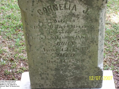 Herring, Cornelia J,  Trinity Cem, Halifax Co, NC.jpg
