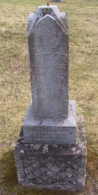 Hickok, Electa A Capron, South Hart Cem, Oceana Co, MI.jpg