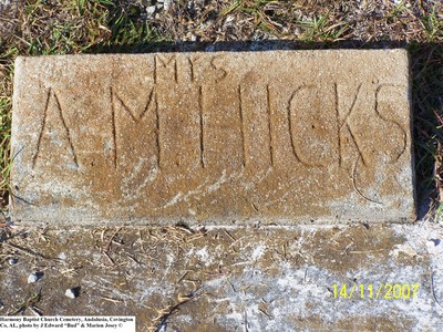 Hicks, Mrs A M, Harmony Baptist Cem, Covington Co, AL.jpg