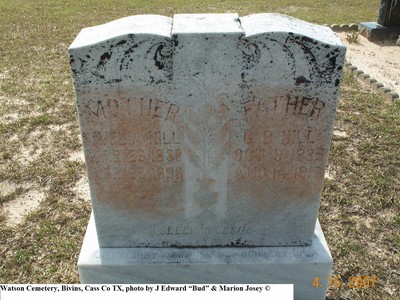 Hill, Green Berry & Savedia, Watson Cem, Bivins, Cass Co, TX.jpg