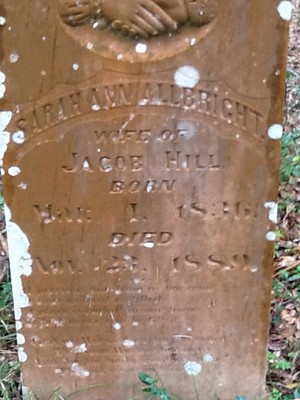 Hill, Sarah Ann Allbright, Hill Cem, Austin Co, TX.jpg