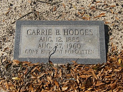 Hodges, Carrie Brantley, Downs Cem, Washington Co, GA.jpg