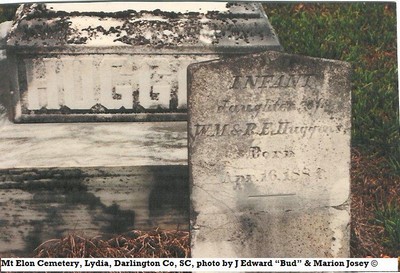 Huggins, Infant of William M, Mt Elon Cem, Darlington Co, SC.jpg