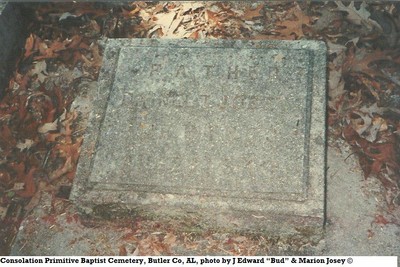 Josey, Daniel Thomas, Consolation Cem, Butler Co AL.jpg