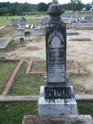 Till, Nancy Ann Stuart, Mount Plkeasant Cem, Butler Co, AL.jpg