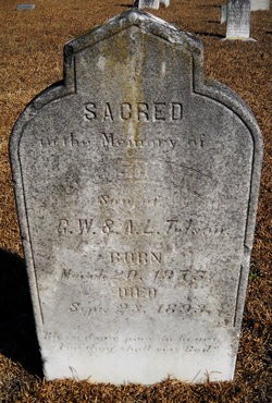 Tolson, George Edward, Saint Paul Cem, Darlington Co, SC.jpg