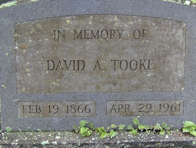 Tooke, David A, Hills Rest Cemetery, Citrus Co, FL.jpg