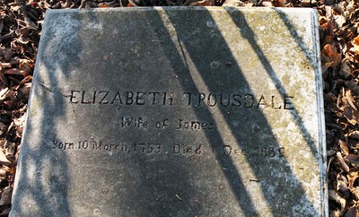 Trousdale, Elizabeth Dobbins, Galliton City Cemetery, Sumner Co, TN.jpg