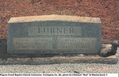 Turner, Mary Ida Josey, Pigeon Creek Cem, Covington Co, AL.jpg