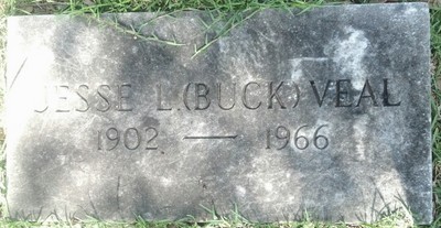 Veal, Jesse Landrum, Magnolia Cem, Tyler Co, TX.jpg