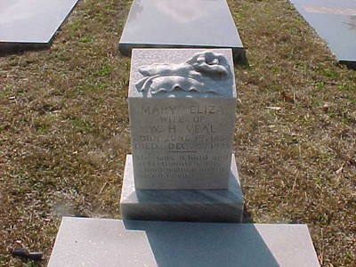 Veal, Mary Elizabeth Gregory, Deepstep Cem, Washington Co, GA.jpg