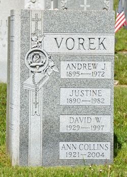 Vorek, Andrew J & Justine, Saint Perer's Cem, Richmond Co, NY.jpeg