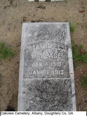 Wallace, Sarah Rebecca, Oakview Cem, Doughtery Co, GA.jpg