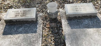 Watkins, Julian & Maude Watson, Watson Cemetery, Emanuel Co, GA.jpg