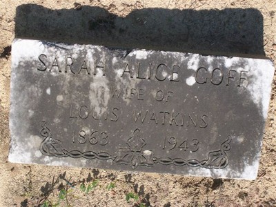 Watkins, Sarah Alice Goff, Abilene Baptist Cem, Columbia Co, GA.jpg