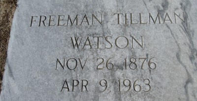 Watson, Freeman Tillman, Friendship Cem, Pulaski Co, GA.jpg
