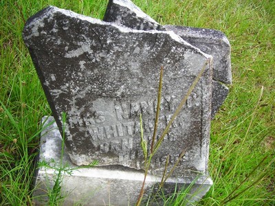 Whitaker, Nancy Pierce, Antioch Cem, Fayette Co, GA.jpg