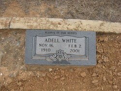 White, Dllia Adell, Mitchell Cem, Bosque Co, TX.jpg