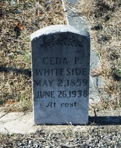 Whiteside, Ceda Palestine Gilbert, Standing Springs Cem, Greenville Co, SC.jpg